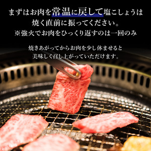 「熟成肉ロース」ステーキ(250g)〈焼肉 ロース 250g 和牛 ステーキ 国産 牛肉 赤身 贅沢 〉