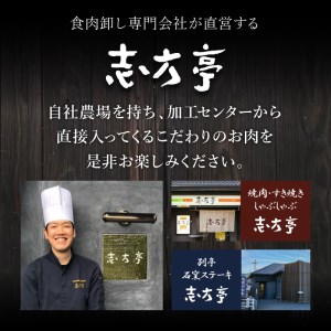 「熟成肉ロース」ステーキ(180g)《焼肉 ロース 180g 和牛 ステーキ 国産 牛肉 赤身 贅沢 》【2404A00410】