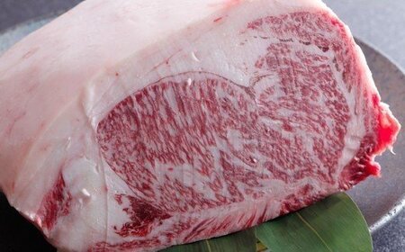 ★☆贅沢なお肉を心ゆくまで☆★最高級志方牛厳選プラン！！《牛肉 志方牛 志方亭 焼肉 バーベキュー BBQ 和牛》【2499A00402】