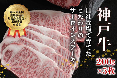 神戸牛サーロインステーキ(200g×5枚)《 自社牧場直送 神戸牛 肉のヒライ サーロインステーキ 1キロ 焼肉 加古川和牛 サーロイン 》