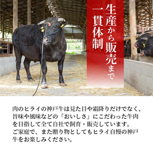 神戸牛サーロインステーキ(200g×5枚)《 自社牧場直送 神戸牛 肉のヒライ サーロインステーキ 1キロ 焼肉 加古川和牛 サーロイン 》