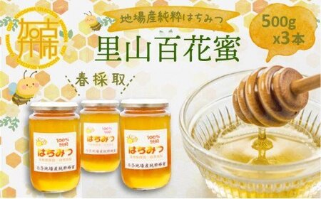 地場産純粋蜂蜜 春採取 里山百花蜜 3本セット 兵庫県加古川市 ふるさと納税サイト ふるなび