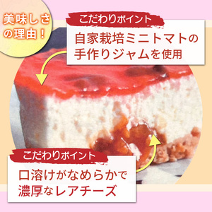  とまこ（トマトのレアチーズケーキ）80g×12個【2401H08701】