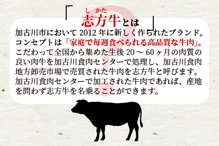  志方牛定食ペア食事券(特上バラ・焼き野菜・ご飯・味噌汁)〈 国産牛 食事券 ペア 焼肉 チケット ギフト 記念日 お祝い 定食 美味しい プレゼント おすすめ〉【2401L08802】