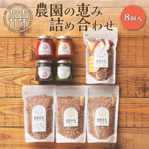 農園の恵み詰め合わせ（８個入A）〈ジャム 調味料 8個 ドライフルーツ