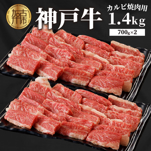 神戸牛カルビ焼肉1.4kg(700g×2) 《 肉 カルビ 神戸牛 焼肉 サシ 国産 1.4kg 小分けタイプ プレゼント お取り寄せ 送料無料 おすすめ》