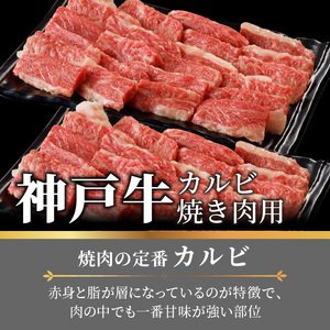 神戸牛カルビ焼肉1.4kg(700g×2) 《 肉 カルビ 神戸牛 焼肉 サシ 国産 1.4kg 小分けタイプ プレゼント お取り寄せ 送料無料 おすすめ》