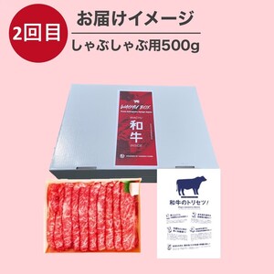 OMAKASE BOX 肉のまち加古川 プリンセス和牛定期便(全4回)《 肉 定期便 牛肉 ステーキ しゃぶしゃぶ すき焼き用 焼肉 おすすめ 贈答 プレゼント 》【2407A11504】