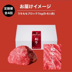 WAGYU PROTEIN 定期便　4回分《 牛肉 お肉 肉 高タンパク 赤身肉 うちもも肉 ローストビーフ ステーキ おすすめ ギフト 贈答 プレゼント 定期便 》【2415A11505】