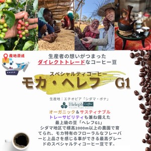 ＼お歳暮ギフト対象品／最高級スペシャルビーンズ 厳選3種《 焙煎豆 焙煎 コーヒー 珈琲 》【2402G11701】