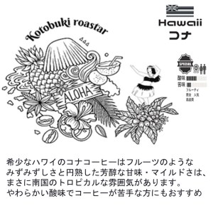 ＼お歳暮ギフト対象品／最高級スペシャルビーンズ 厳選3種《 焙煎豆 焙煎 コーヒー 珈琲 》【2402G11701】