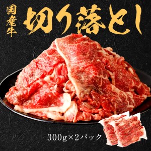 【国産牛】料理の味方セット(切り落とし・ボイルスジ肉)《 肉 牛肉 切り落とし肉 牛すじ 国産 セット 》【2301A09910】