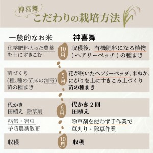 【お米の定期便】お米“神喜舞”玄米計30kg(玄米5kg×6ヶ月) [令和６年産]【11月中旬より提供開始】《 お米 米 ヒノヒカリ 定期便 神喜舞 玄米 》【2408B08413】