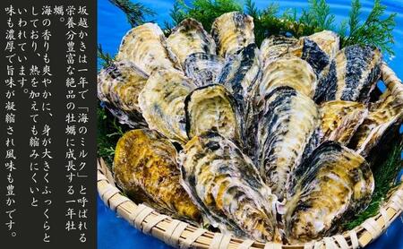 牡蠣 生食用 坂越かき 殻付き 45～50個[ 生牡蠣 真牡蠣 かき カキ 冬牡蠣 ]
