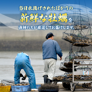 牡蠣 生食用 坂越かき 殻付き 42～48個 成林水産 [ 生牡蠣 真牡蠣 かき カキ 冬牡蠣 ]