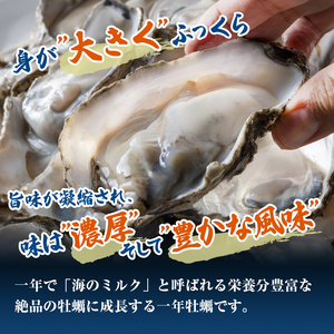 牡蠣 生食用 坂越かき 殻付き 16～18個 成林水産 [ 生牡蠣 真牡蠣 かき カキ 冬牡蠣 ]