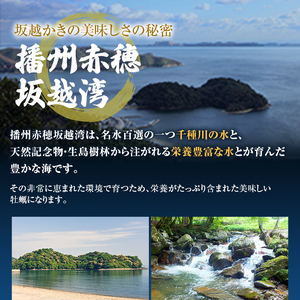 牡蠣 生食用 坂越かき 殻付き 16～18個 成林水産 [ 生牡蠣 真牡蠣 かき カキ 冬牡蠣 ]