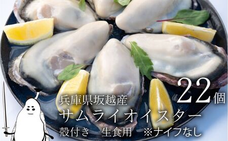 牡蠣 生食 坂越かき 殻付き22個【ナイフなし】 サムライオイスター　かき 生牡蠣 兵庫県 赤穂市