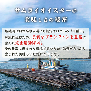 牡蠣 生食 坂越かき 殻付き22個【ナイフなし】 サムライオイスター　かき 生牡蠣 兵庫県 赤穂市