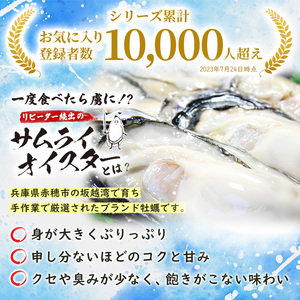 牡蠣 生食 坂越かき 殻付き33個【ナイフなし】サムライオイスター かき 生牡蠣 兵庫県 赤穂市