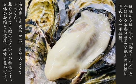 牡蠣 坂越かき 生食用 むき身 300g×2個 (計600g)[ 生牡蠣 冬牡蠣 かき カキ 真牡蠣 ]