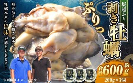 牡蠣 坂越かき 剥き牡蠣 約200g×3 合計：約600g カキ 牡蠣 かき 海の幸 魚介 貝