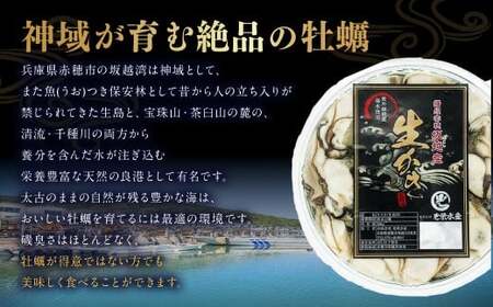 牡蠣 坂越かき 剥き牡蠣 約200g×3 合計：約600g カキ 牡蠣 かき 海の幸 魚介 貝