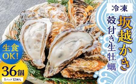 生食OK 坂越かき 殻付き生牡蠣 12個入り 3パック 計：36個 【冷凍】カキ 牡蠣 かき 海の幸 魚介 貝