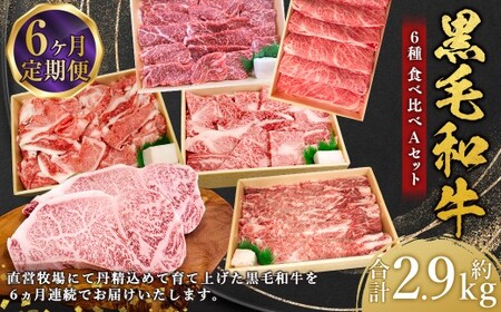 【6回定期便】牛肉 兵庫県産 黒毛和牛 6種 食べ比べ A 肉 ニク にく 牛