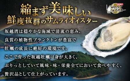坂越かき むき身 約500g×1パック【2026年1月上旬～2026年3月下旬頃発送予定】／ 牡蠣 かき カキ オイスター サムライオイスター 生牡蠣 魚介 貝 海産物 生食 パック 兵庫県 赤穂市