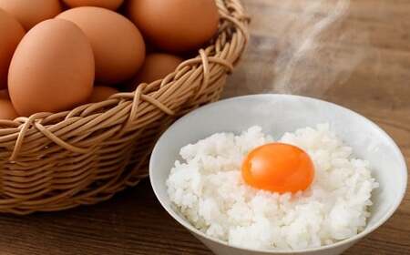 【3ヶ月定期便】 赤穂の源 50個(40個+割れ保証10個)(25×2パック) 3回 定期便 計150個 割れ保障 鶏卵 卵 たまご 卵かけご飯 卵焼き 朝ごはん ご飯 ご褒美 冷蔵 兵庫県 赤穂市