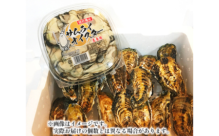 2024年1月中旬～2024年3月下旬】牡蠣 生食 坂越かき むき身 500g×1