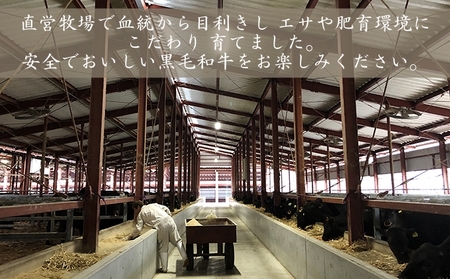 【牧場直売店】兵庫県産黒毛和牛サーロインブロック1.1kg