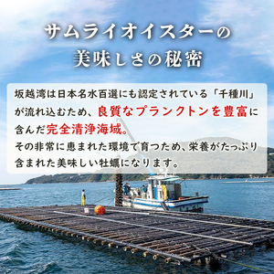 牡蠣 坂越かき 【冷凍】 殻付き 40個(加熱用)サムライオイスター 冬牡蠣