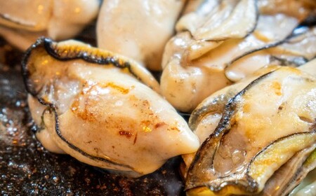 【冷凍】坂越かき 殻付き40個（加熱用） 牡蠣 カキ 海鮮 貝