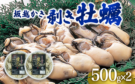  牡蠣 坂越かき 剥き牡蠣 500g×2[ 生牡蠣 かき カキ むき身 剥き身 生食 ]