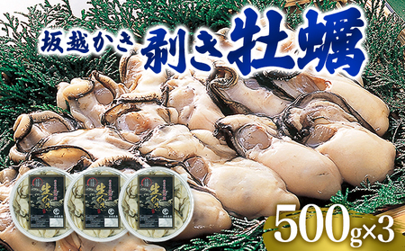  牡蠣 坂越かき 剥き牡蠣 500g×3[ 生牡蠣 かき カキ むき身 剥き身 生食 冬牡蠣 ]