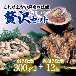  牡蠣 坂越かき 剥き牡蠣 300g×2、殻付き牡蠣 12個 軍手・オイスターナイフ付き[ 生牡蠣 かき カキ 生食 ]