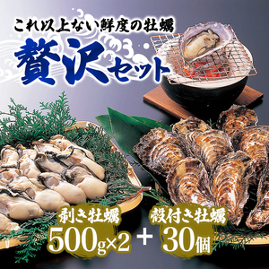  牡蠣 坂越かき 剥き牡蠣 500g×2、殻付き牡蠣 30個 軍手・オイスターナイフ付き[ 生牡蠣 かき カキ 生食 ]
