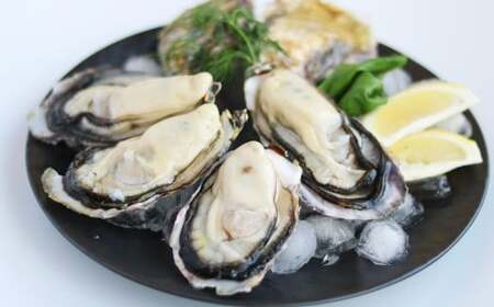 プレミアムオイスター 殻付き 牡蠣 8～10個入 生食 瀬戸内海 牡蠣 カキ 海鮮 【2025年12月下旬～2026年3月上旬発送予定】