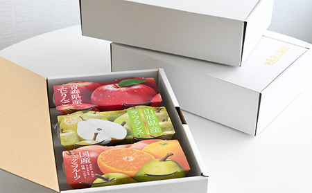 みかん様野菜セット果物追加 000000000982-03-l.jpg?t=