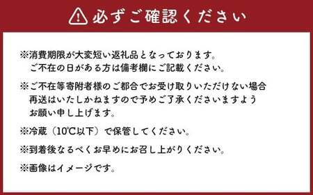 【2回定期便】 牡蠣 坂越かき 殻付き牡蠣 24個  カキ かき 海の幸 魚介 貝 【2026年3月上旬～4月下旬発送予定】