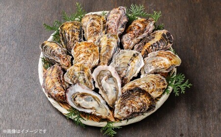 【3回定期便】 牡蠣 坂越かき 剥き牡蠣 約200g×2パック 殻付き牡蠣 12個 カキ 牡蠣 かき 海の幸 魚介 貝 【2026年1月上旬~3月下旬発送予定】