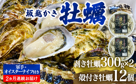 定期便 牡蠣 坂越かき 剥き牡蠣 300g×2、殻付き牡蠣 12個 オイスター
