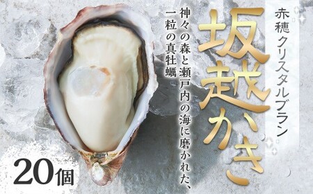 牡蠣 坂越かき赤穂クリスタルブラン 20個 カキ 牡蠣 かき 海の幸 魚介 貝【2026年6月下旬～2026年10月下旬まで発送予定】