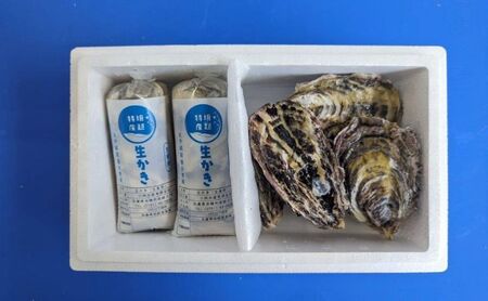 【2025年1月中旬から出荷】坂越かき 殻付き6個・むき身 (300g×2)セット（北海道・沖縄・離島への配送不可）[ 牡蠣 冬牡蠣 ]