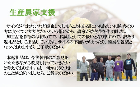 【訳あり】【予約】冷凍焼きいも 合計２kg 【紅はるか】農家が作った超熟成蜜芋「こいもあまいも」（10-90）