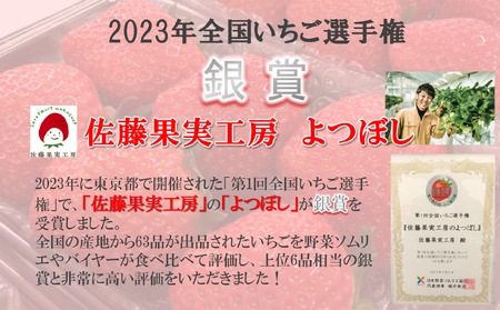 《2025年産先行予約》「西脇市産 佐藤果実工房のよつぼし」（約270g×２パック 約540g）【佐藤果実工房 全国いちご選手権銀賞受賞農園 TVで紹介!】令和７年３月下旬配送分（07-45）