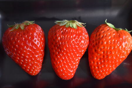 《2026年産先行予約》「西脇市産 佐藤果実工房のよつぼし」(約270g×3パック 約810g)【佐藤果実工房 全国いちご選手権銀賞受賞農園 TVで紹介!】令和8年2月中旬配送分(09-39)