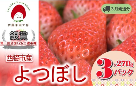 《2026年産先行予約》「西脇市産 佐藤果実工房のよつぼし」(約270g×3パック 約810g)【佐藤果実工房 全国いちご選手権銀賞受賞農園 TVで紹介!】令和8年3月下旬配送分(09-39)